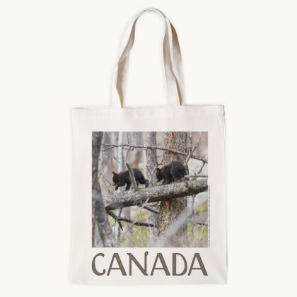 Tote Bag - Follow the Leader