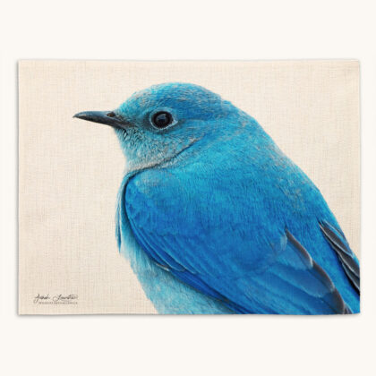 Placemat - Detail in Blue