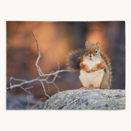 Placemat - Forest Friend