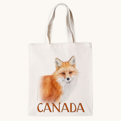 Tote Bag - A Winter Walk