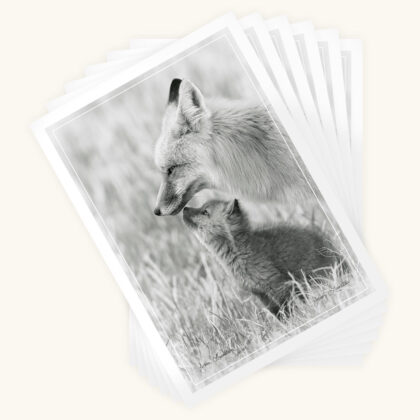 Greeting Card 6-pack - The Bond of Love