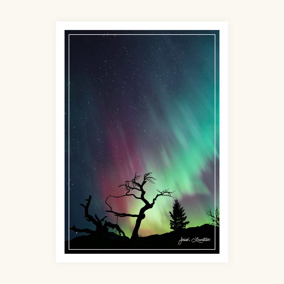 Greeting Card - Colours of the Wind - Image 2