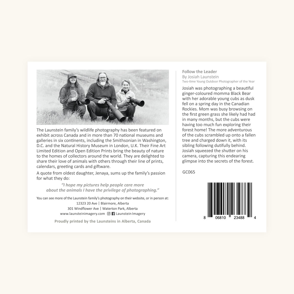 Greeting Card 6-pack - Follow the Leader - Image 3