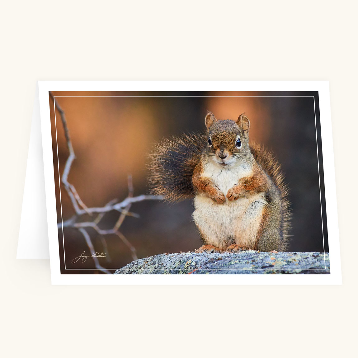 Greeting Card - Forest Friend