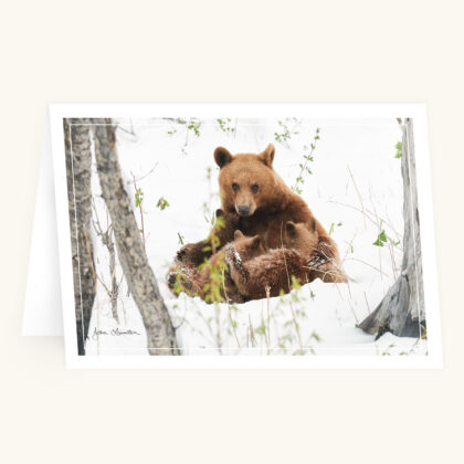 Greeting Card - Sanctuary