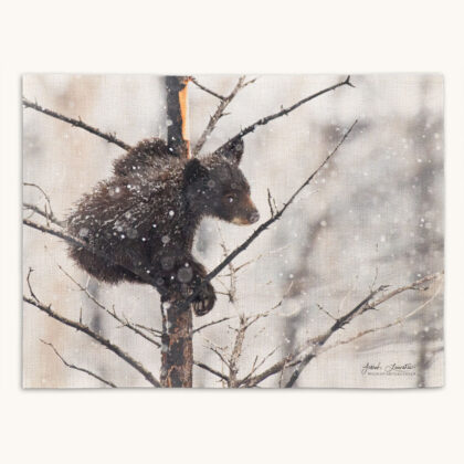 Placemat - Hangin in There