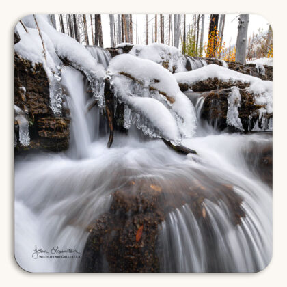 Coaster of a waterfall in ice on Cameron Creek as winter arrives in Waterton Lakes National Park