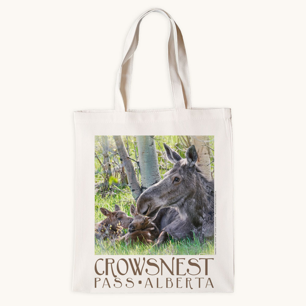 Tote Bag - Among the Aspen - Image 3