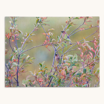 Placemat - Pastel Waxwings