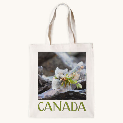 Tote Bag - Winter is Coming