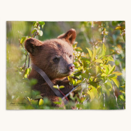 Placemat - Thinkin Thoughts