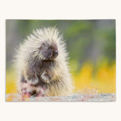 Placemat - Yukon Porcupine